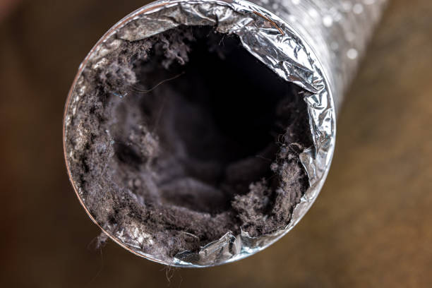 Best HVAC System Cleaning  in Topanga, CA